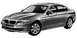 BMW F10 P1B1C Fault Code